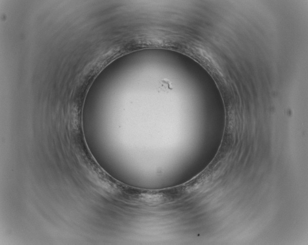 X0000088610457200706081438