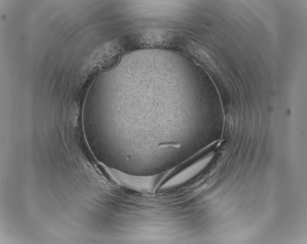 X0000088610458200706081438