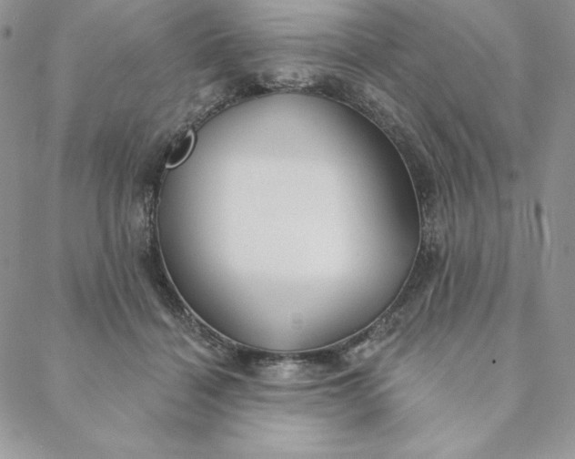 X0000088610460200706081438