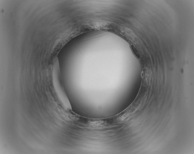 X0000088610461200706081438