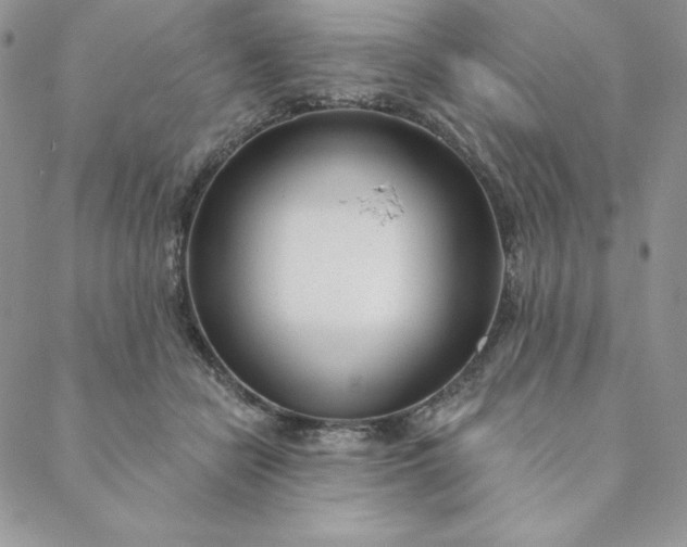 X0000088610462200706081438