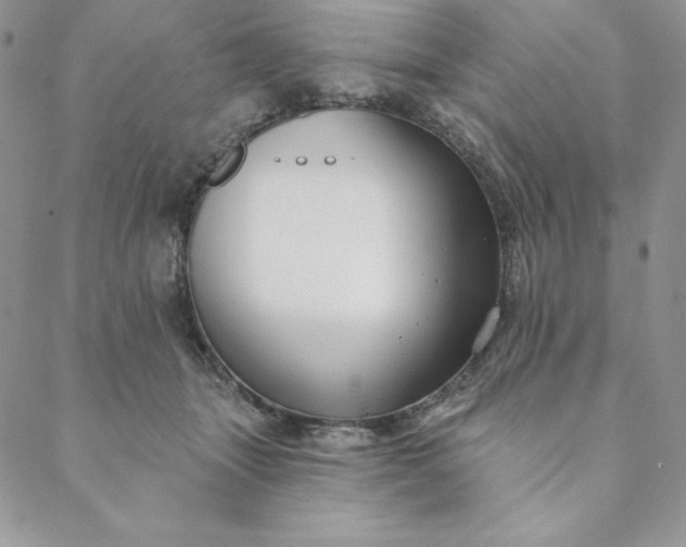 X0000088610463200706081438