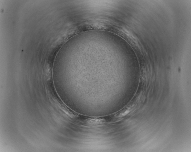 X0000088610465200706081438