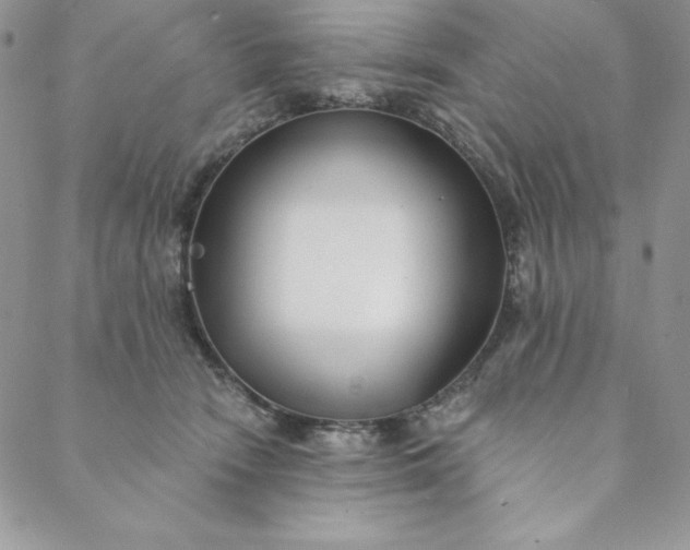 X0000088610466200706081438