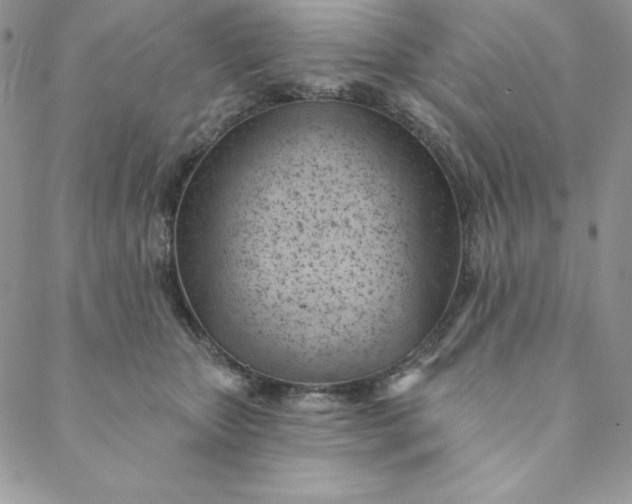 X0000088610467200706081438