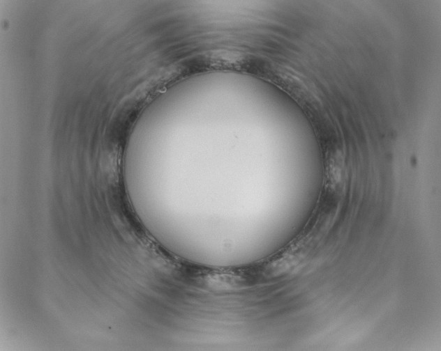 X0000088610468200706081438