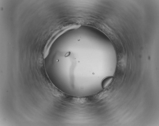 X0000088610469200706081438