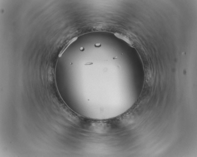 X0000088610470200706081438