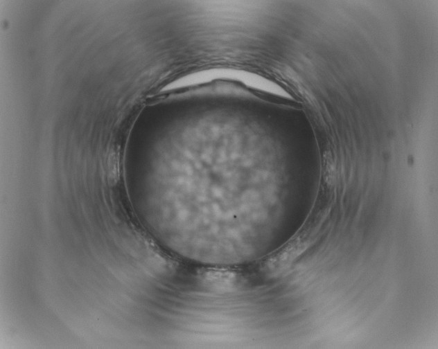 X0000088610471200706081438