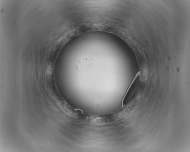 X0000088610472200706081439