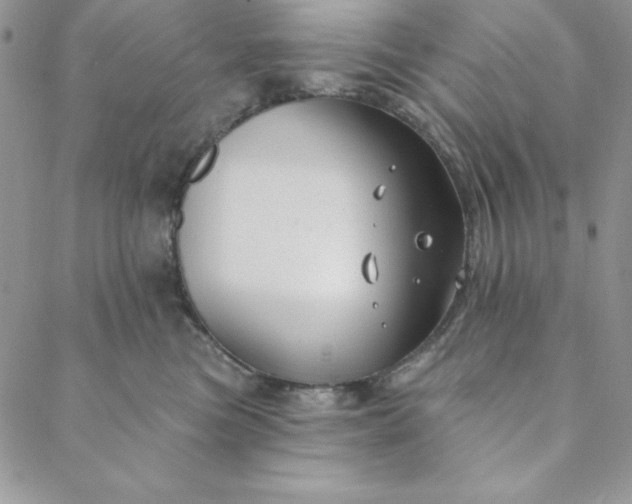 X0000088610473200706081439