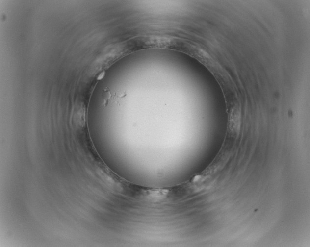 X0000088610474200706081439