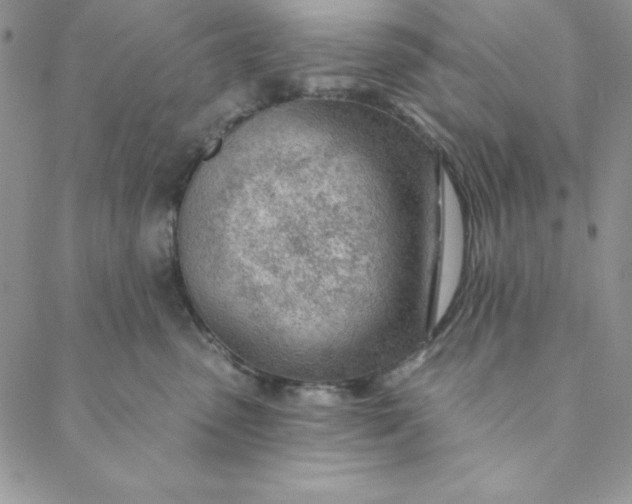 X0000088610475200706081439