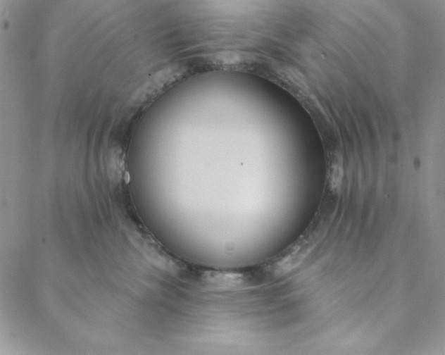 X0000088610476200706081439