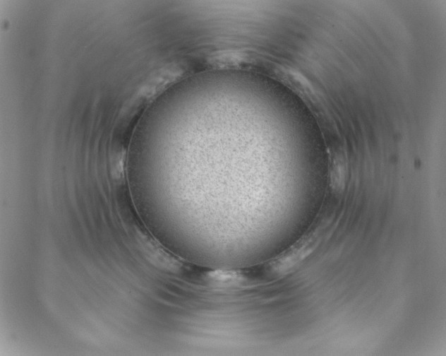 X0000088610477200706081439