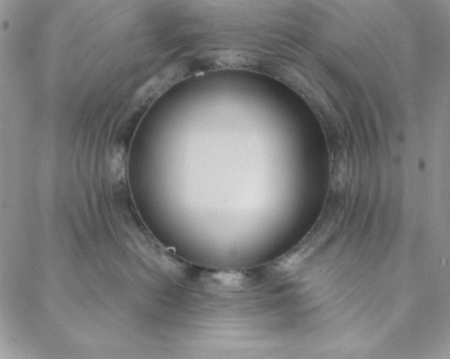 X0000088610478200706081439