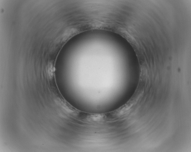 X0000088610479200706081439