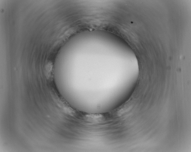 X0000088610480200706081439