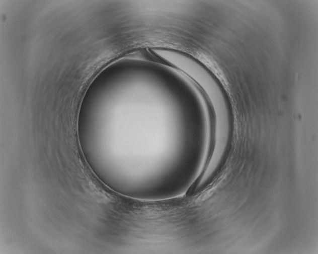 X0000088610481200706081438