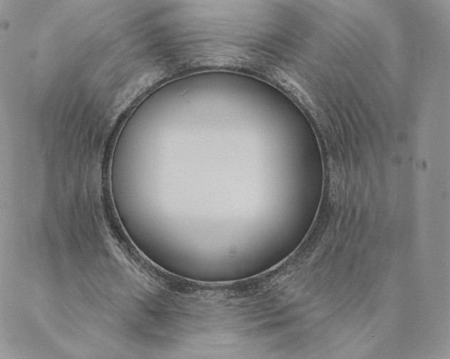 X0000088610482200706081438