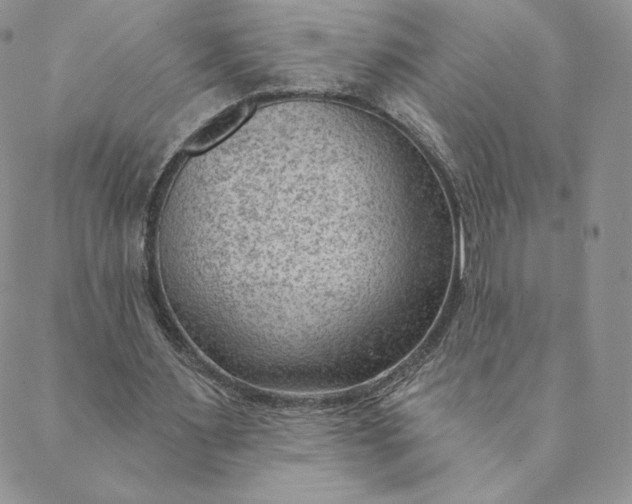 X0000088610483200706081438