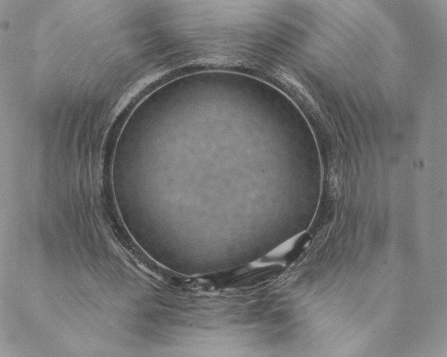 X0000088610484200706081438