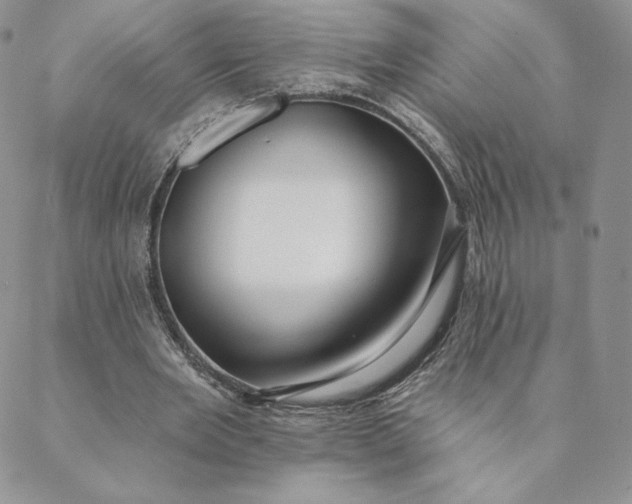 X0000088610485200706081438