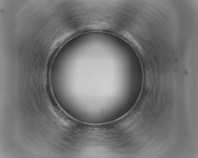 X0000088610486200706081438