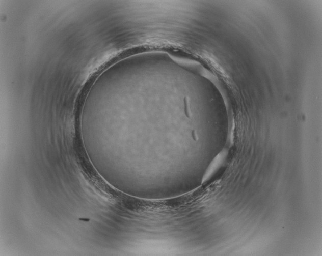 X0000088610488200706081438