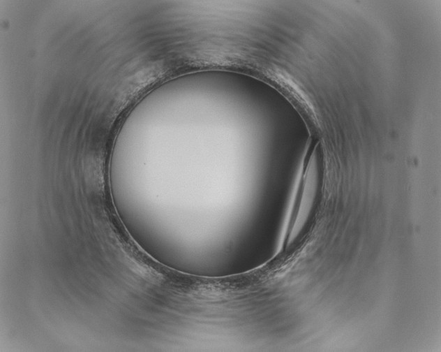 X0000088610489200706081438