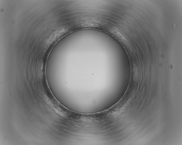 X0000088610490200706081438