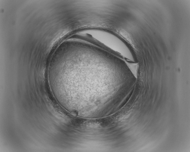 X0000088610491200706081438