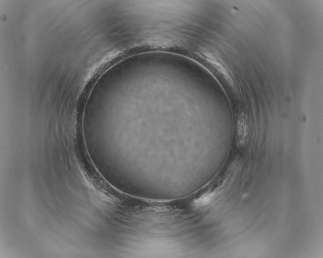 X0000088610492200706081438