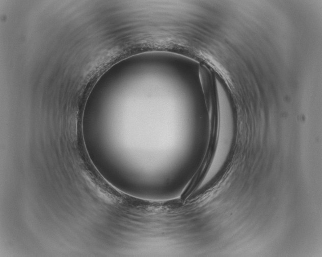 X0000088610493200706081438