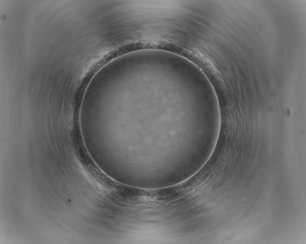 X0000088610496200706081438