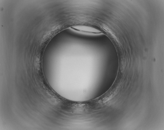 X0000088610497200706081438