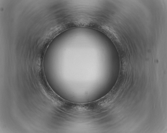 X0000088610498200706081438