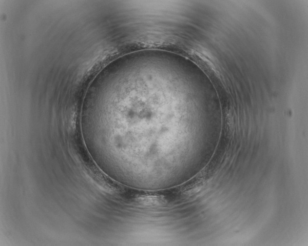 X0000088610499200706081438