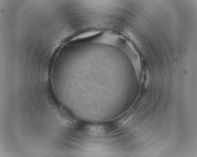 X0000088610500200706081438