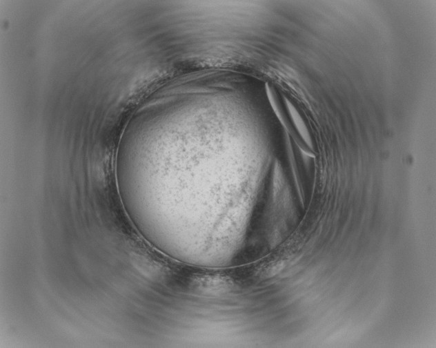 X0000088610503200706081438