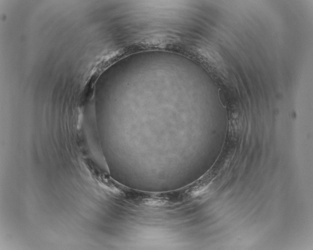 X0000088610504200706081437