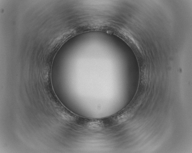 X0000088610505200706081437