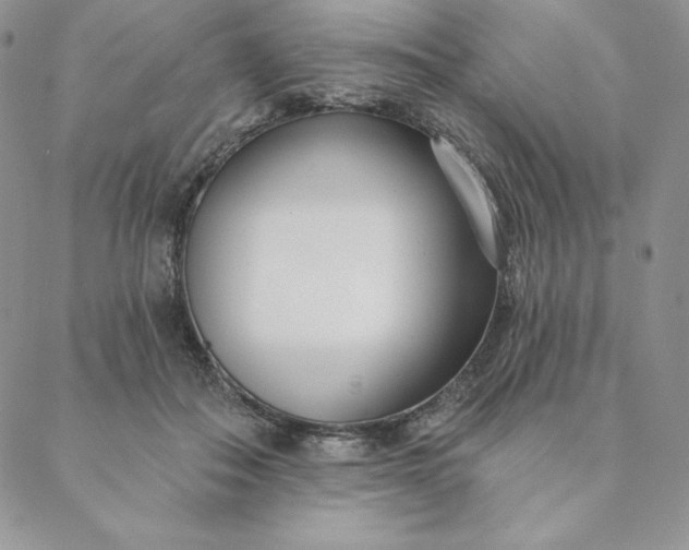 X0000088610506200706081437