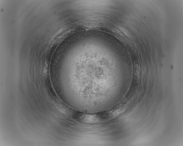 X0000088610507200706081437