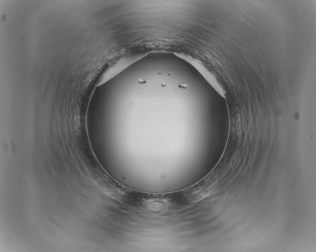 X0000088610508200706081437