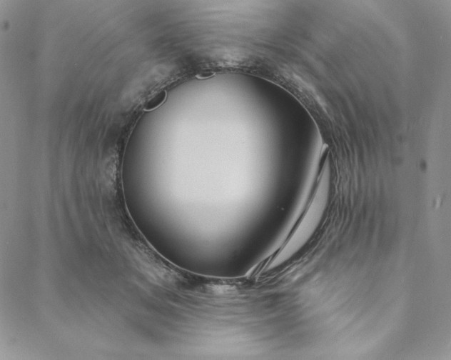 X0000088610509200706081437