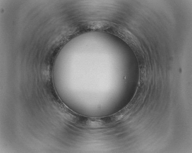 X0000088610510200706081437