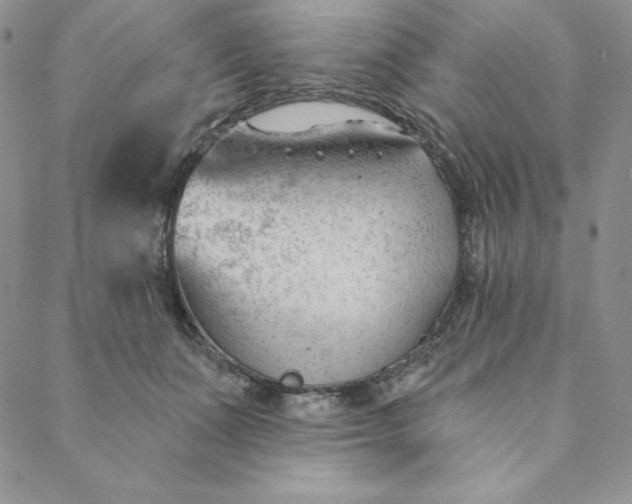 X0000088610511200706081437