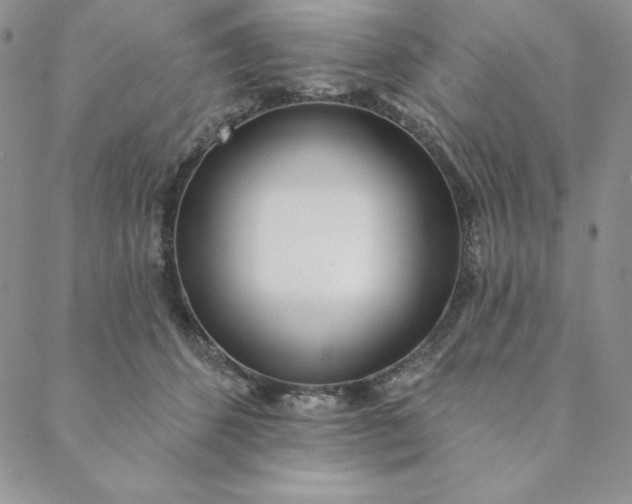 X0000088610512200706081437