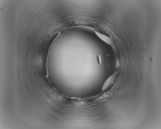 X0000088610513200706081437